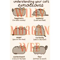 Pusheen The Cat 2 Pusheen The Cat 2